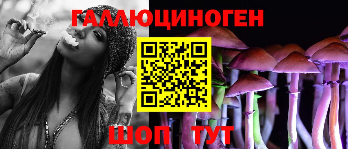 сколько стоит  Вход с VPN  Псилоцибиновые грибы мицелий  Зерноград  Псилоцибиновые грибы мицелий 