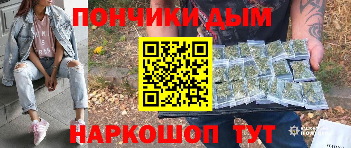Каннабис сатива  Бошки Шишки гибрид  Зерноград  Вход с VPN  Конопля Amnesia  Бошки Шишки тримм 